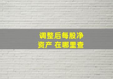 调整后每股净资产 在哪里查